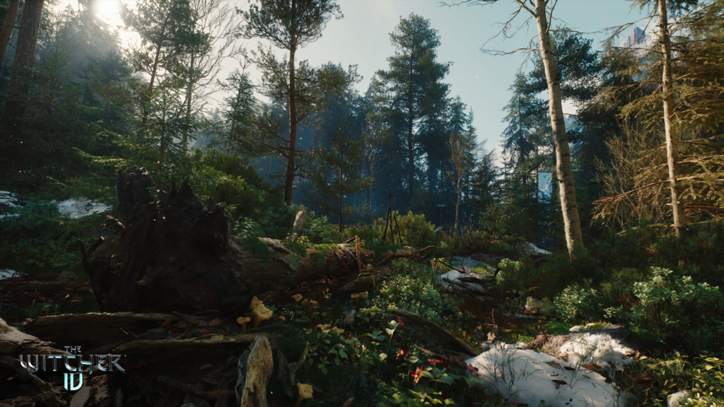 Witcher 4 Geliştirme Süreci Görsel 3