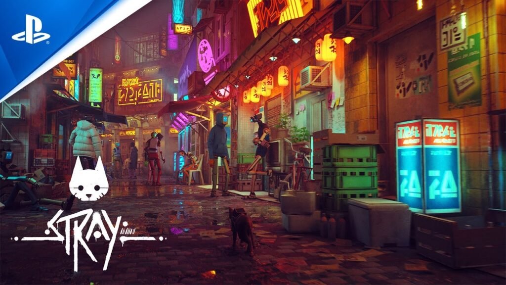 Stray Platin Kupa Görsel 2