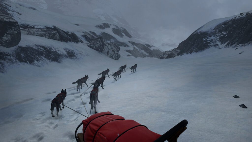 WILL: Follow The Light Çıkış Tarihi Görsel 3