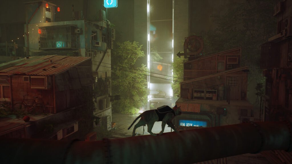 Stray Bölüm 1 Görsel 2